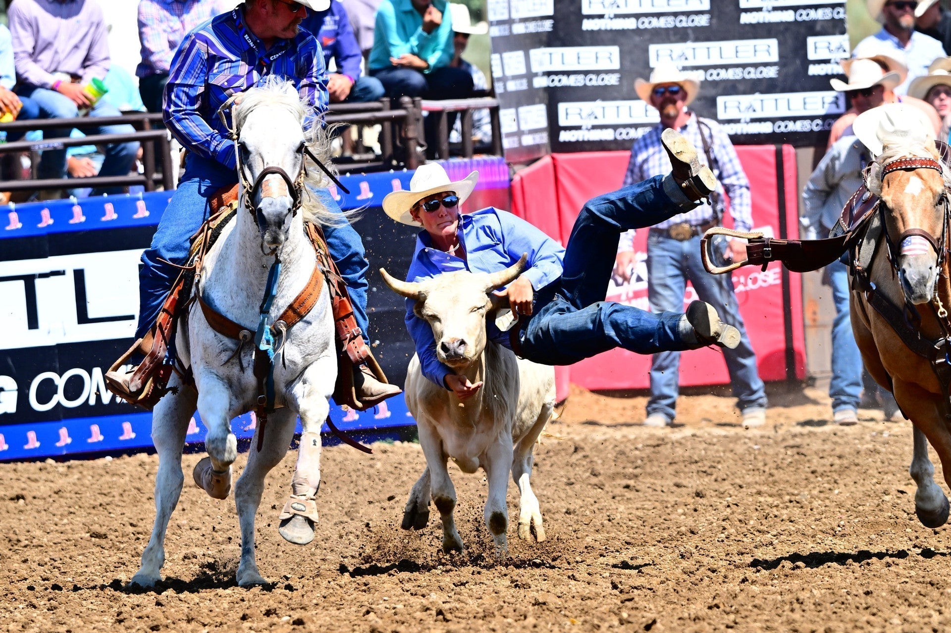 The Breath of Champions: Optimizing Respiratory Health in Rodeo Speed Horses – Part 1