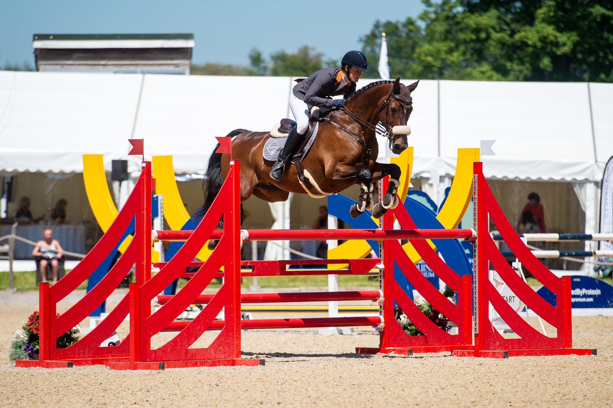 10 Equine Respiratory System Facts