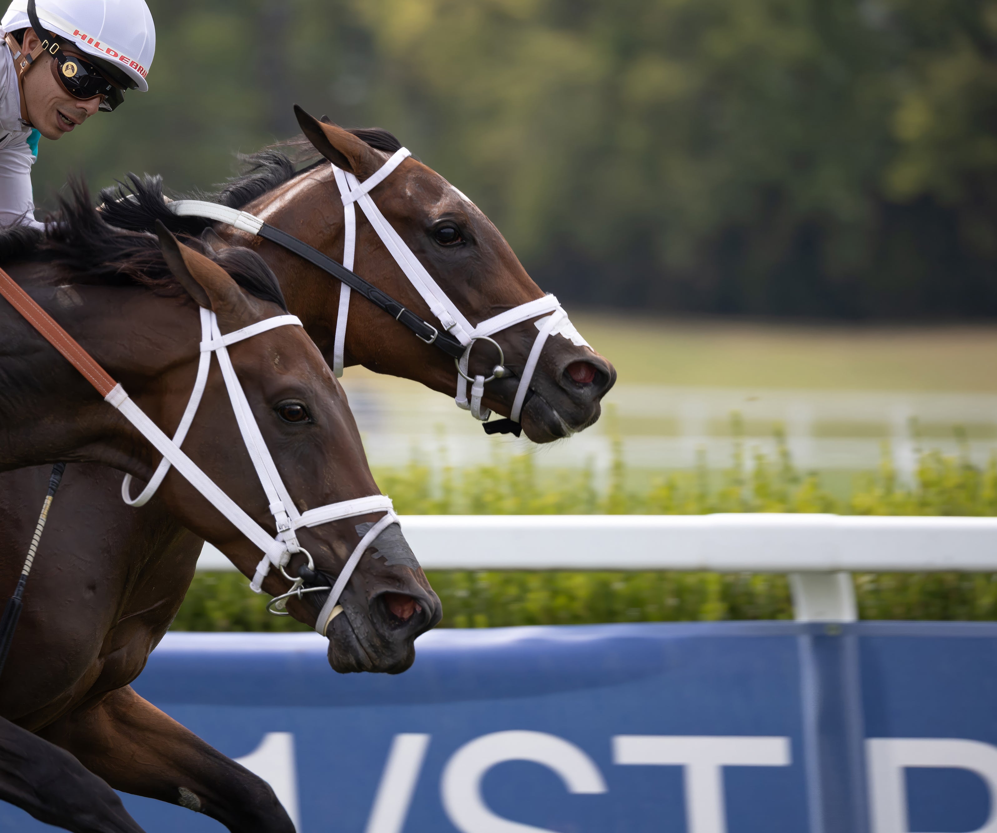 What Is Respiratory Load in Horses?