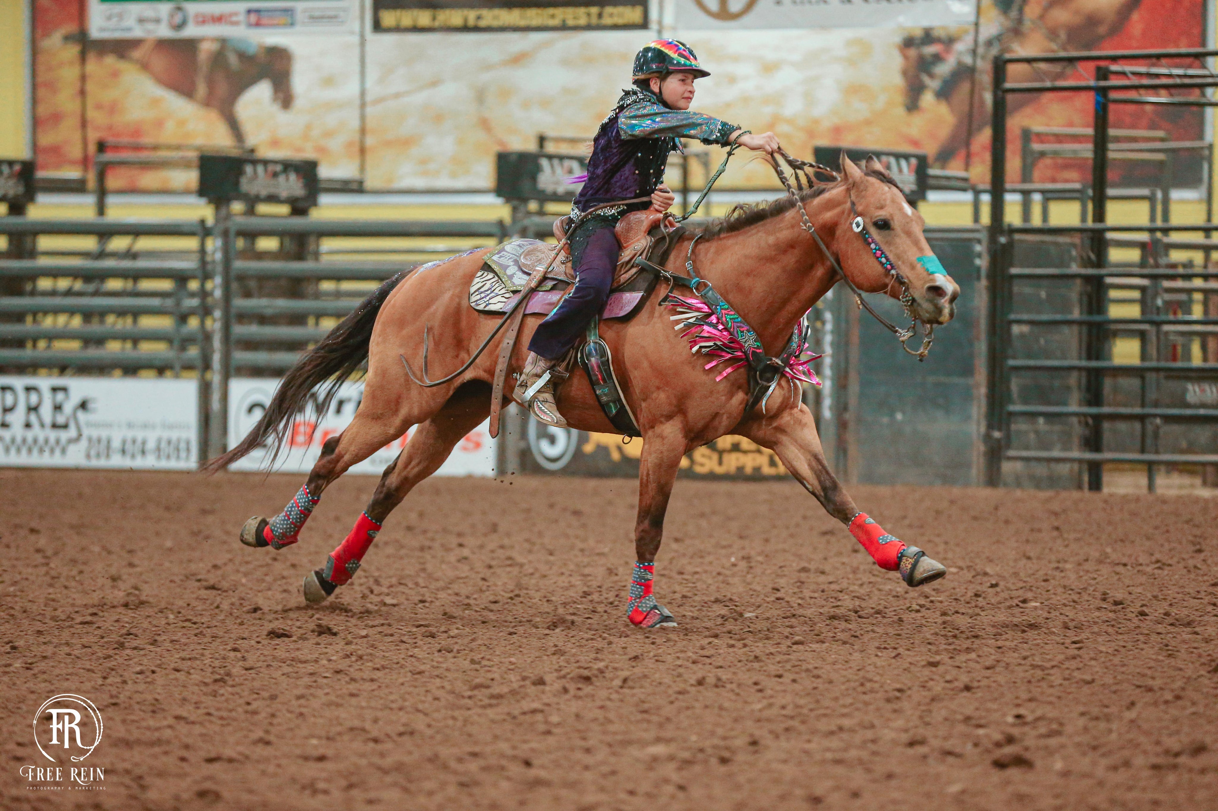 Equine Insights: Activating the Thoracic Sling Muscles