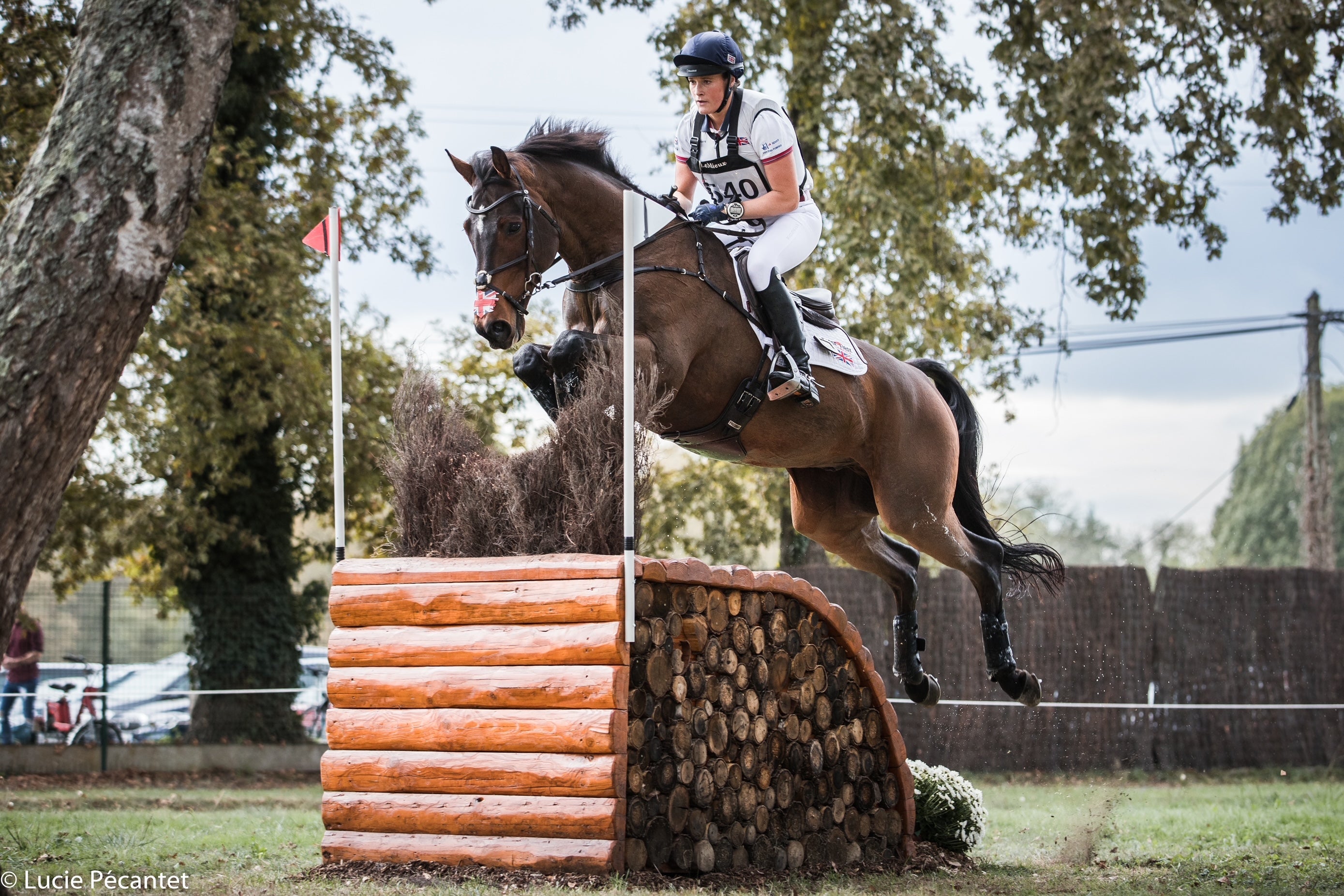 Why Use FLAIR Strips in Dressage, Stadium Jumping and Cross Country