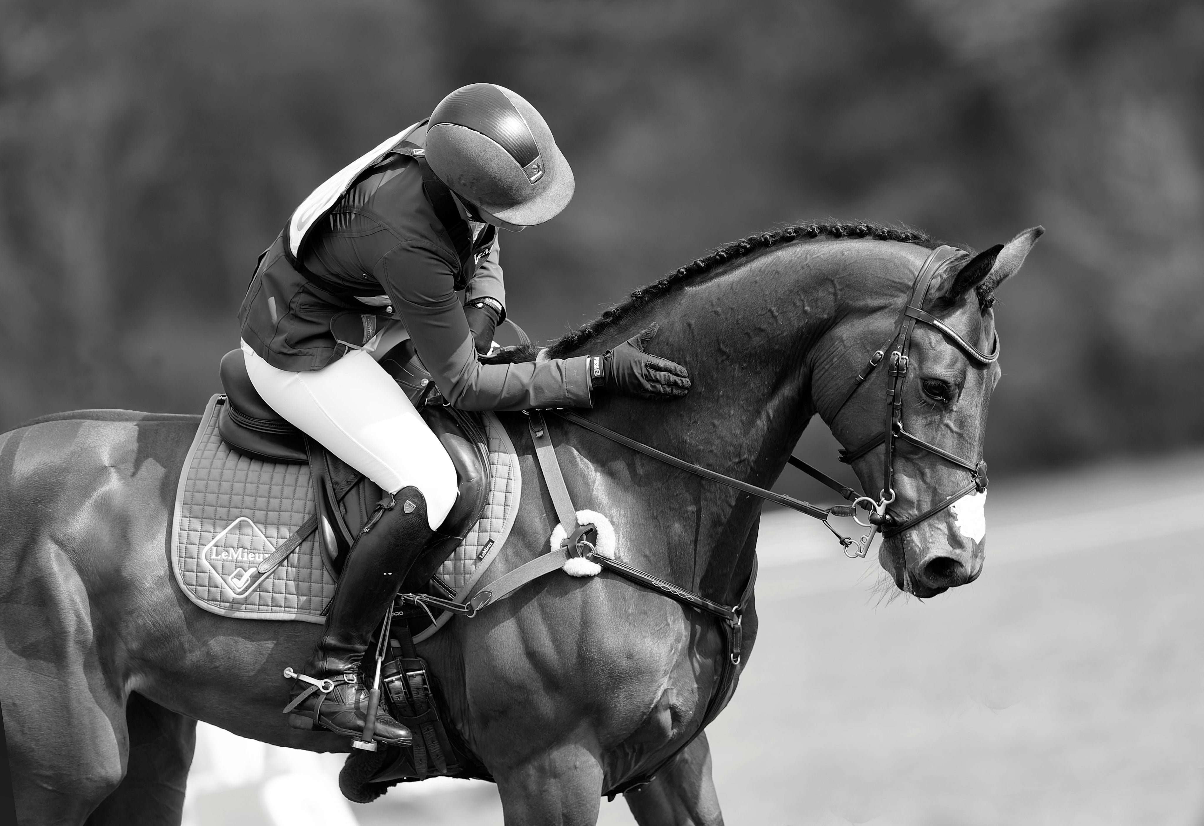 Mitigating Equine Fatigue: A Practical Guide with FLAIR® Strips