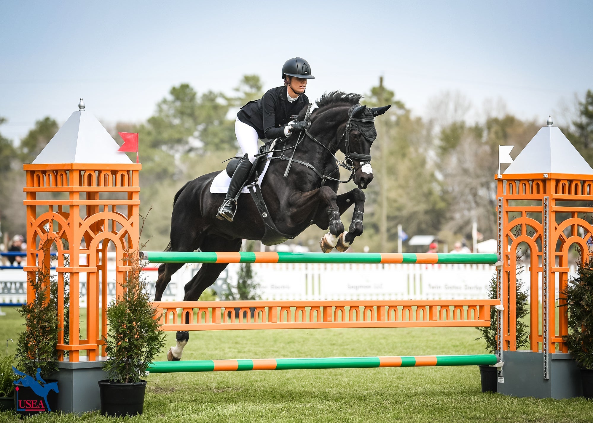 Equine Insights: How the Equine Shoulders Affect Performance