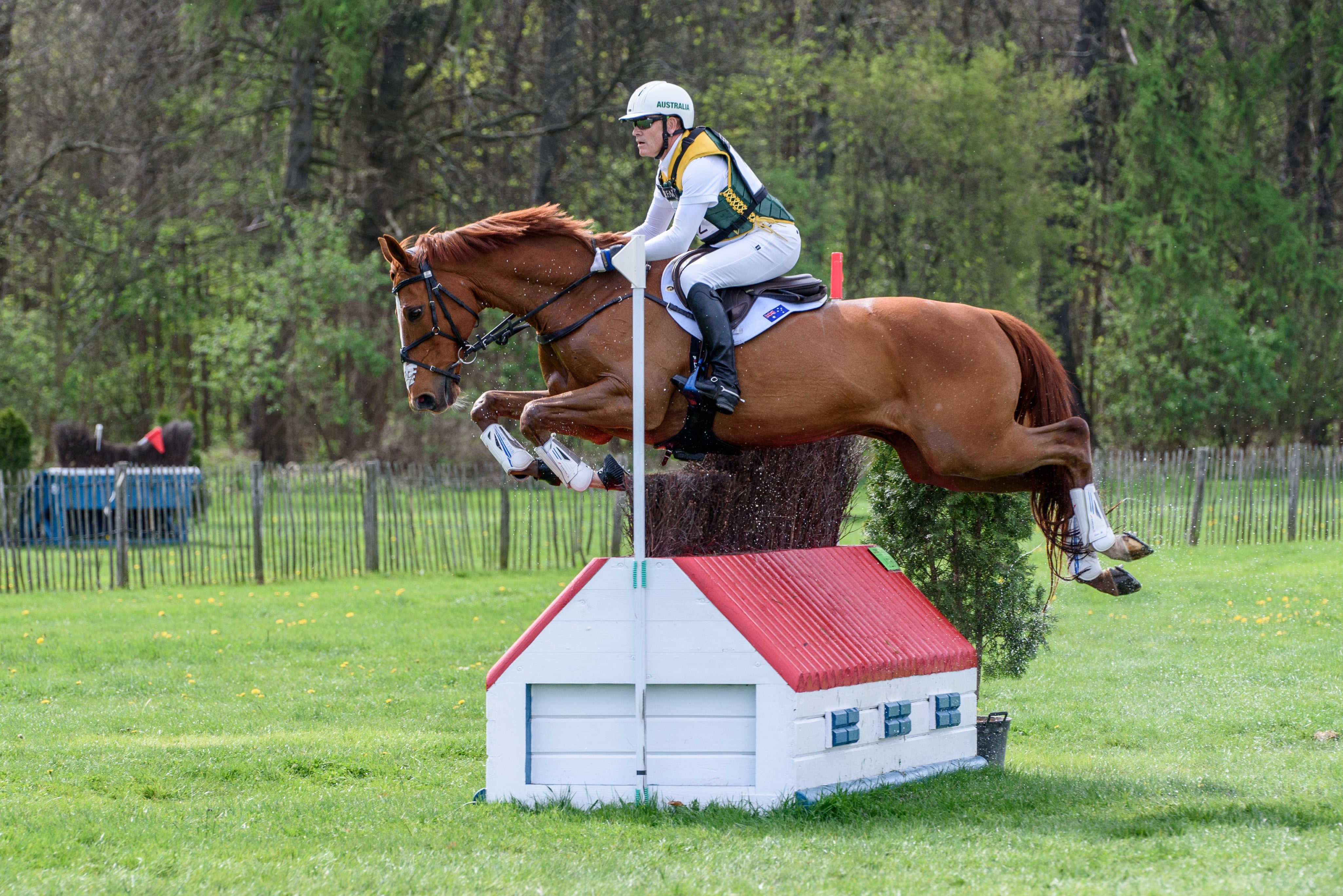 Equine Insights: Where should you sit on your horse’s back?