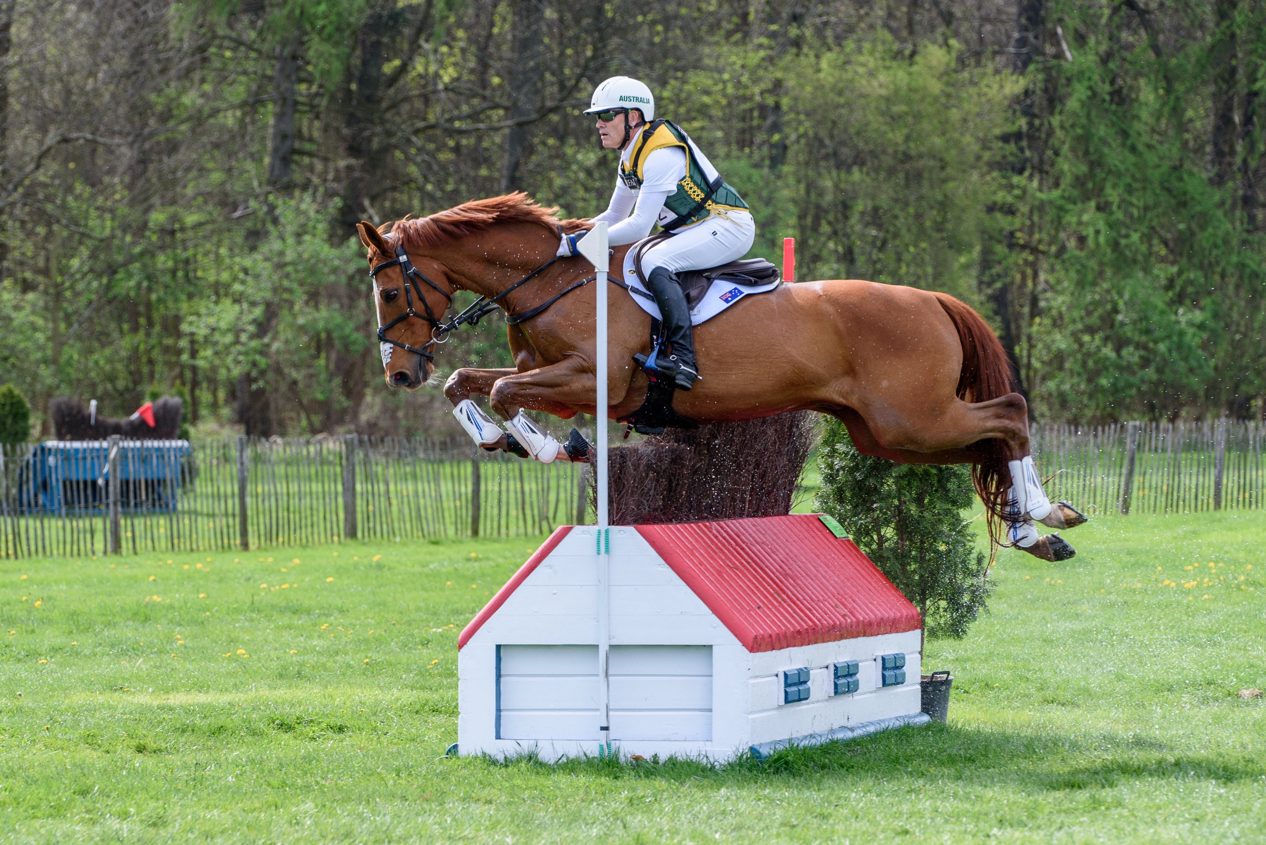 Equine Insights: Where should you sit on your horse’s back?