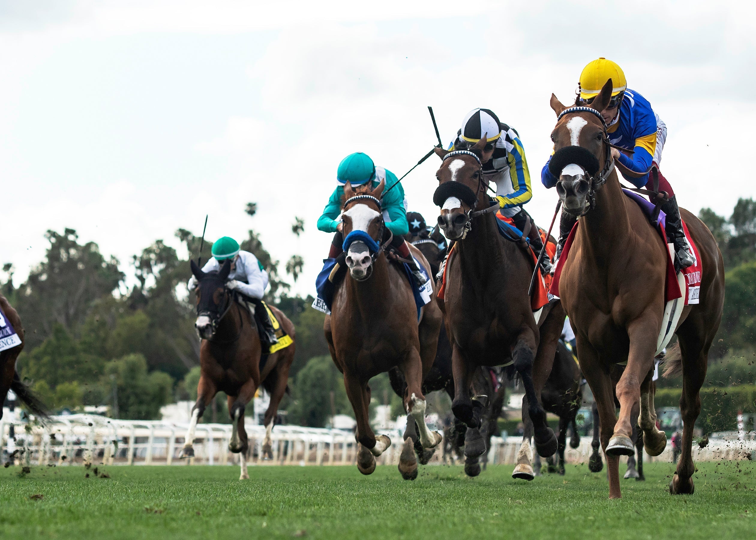 Under Pressure: Managing EIPH in Competitive Equine Sports