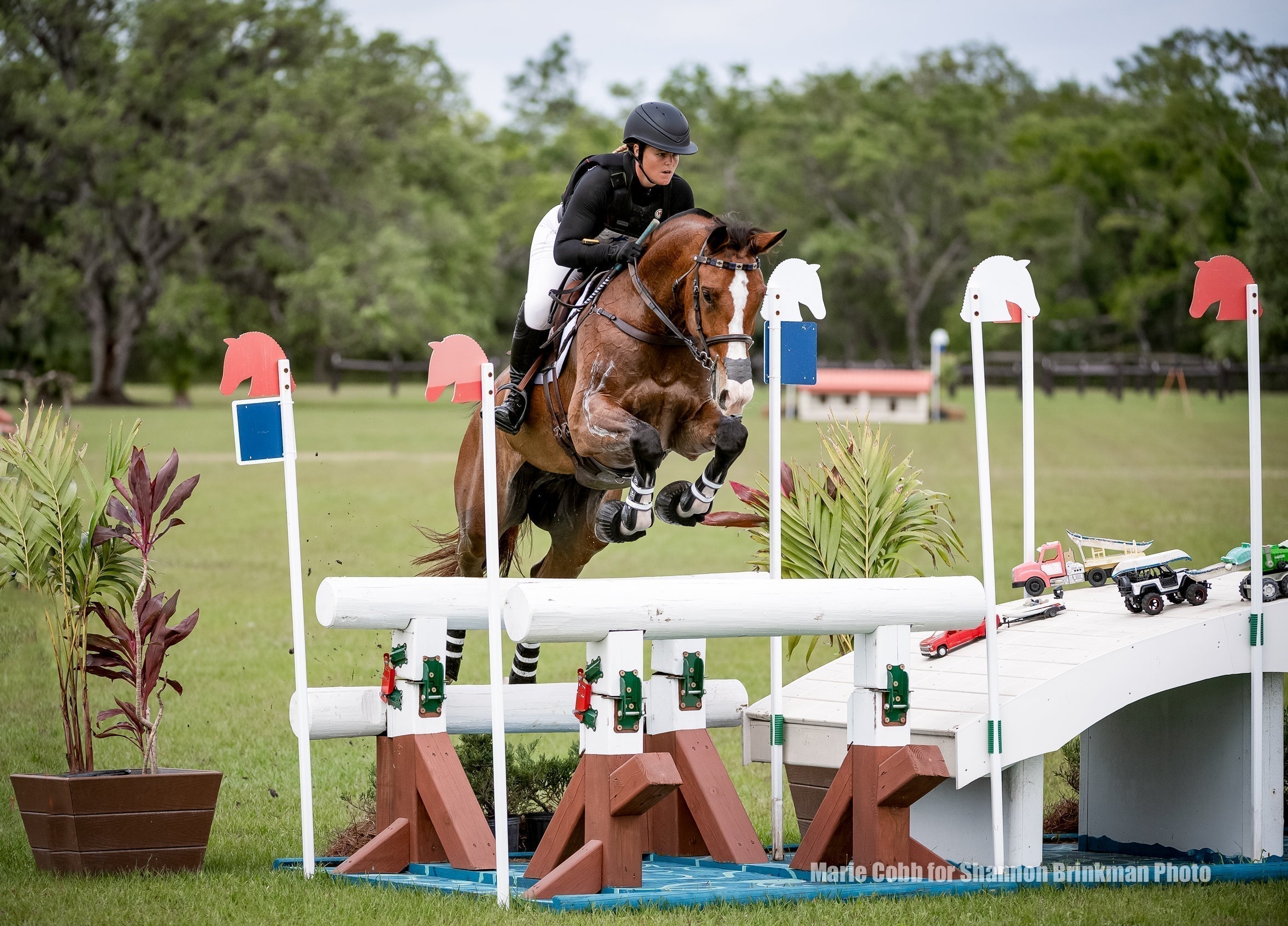 Every Event Horse Is a Respiratory Athlete
