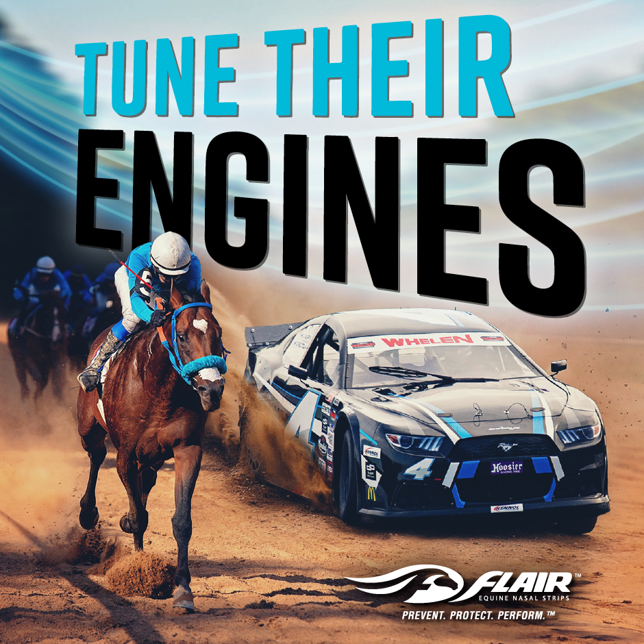 Similarities Between Equine Respiratory System and NASCAR