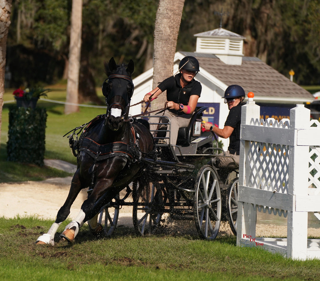 Horse Leg Injuries Prevention: What You Need to Know – Achieve Equine, LLC