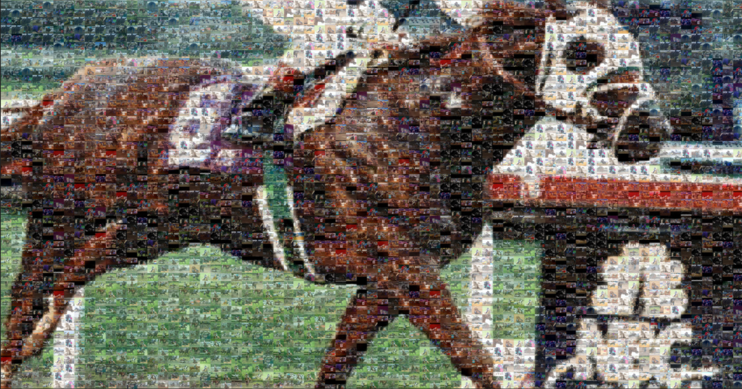 Celebrating 20 Years of Improving Horse Health with FLAIR® Strips