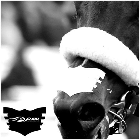 Keeping Horses Safe in Equine Sports: FLAIR Strips