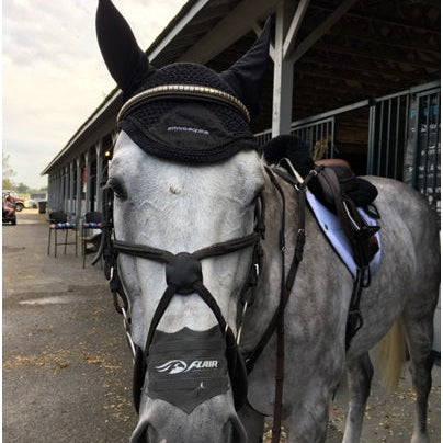 Environmental Impacts on Horse Health: Tips and Advice
