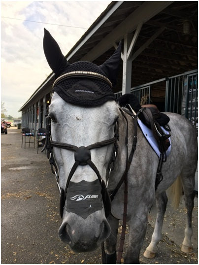 Environmental Impacts on Horse Health: Tips and Advice