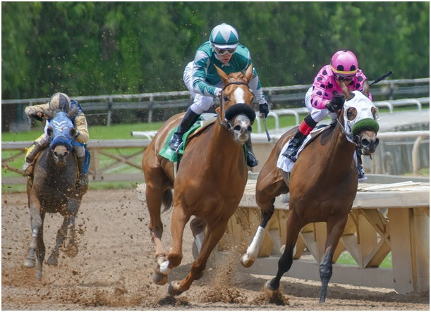 How Improving Oxygen Intake Impacts Horse Performance