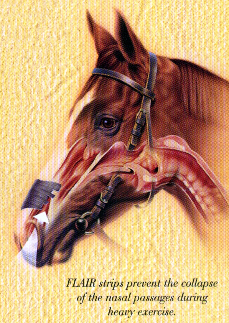 How do FLAIR® Equine Nasal Strips work?