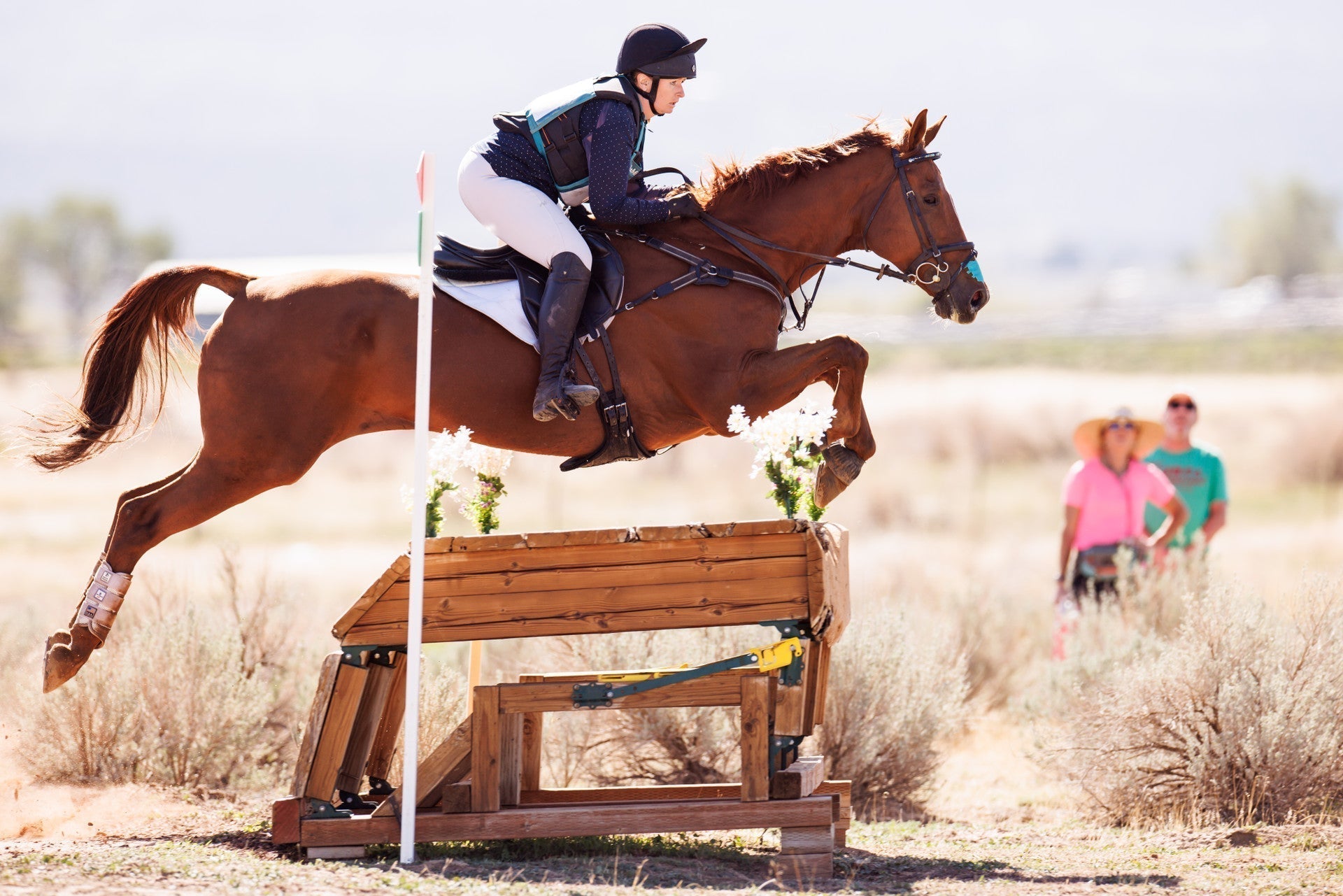 Jeffery Riding Eventing The Overlooked Impact of Respiratory Challenges in Jumping & Eventing ...