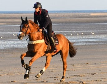 How to Create Exercise Routine for Horses: FLAIR Strips