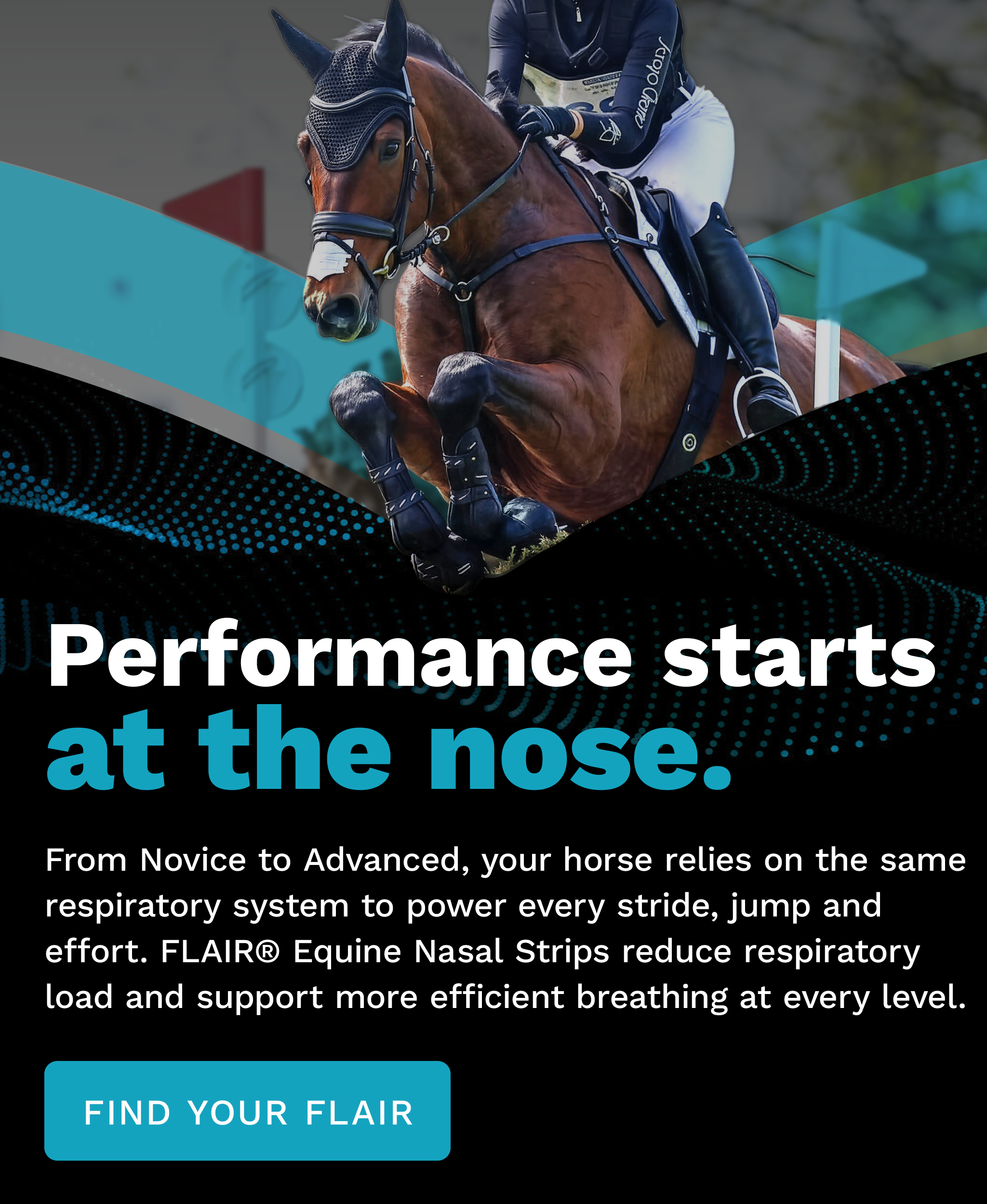 FLAIR_HomeSlider_Eventingvert_28c519f1-bdc2-406c-9117-e2eeff626942.png
