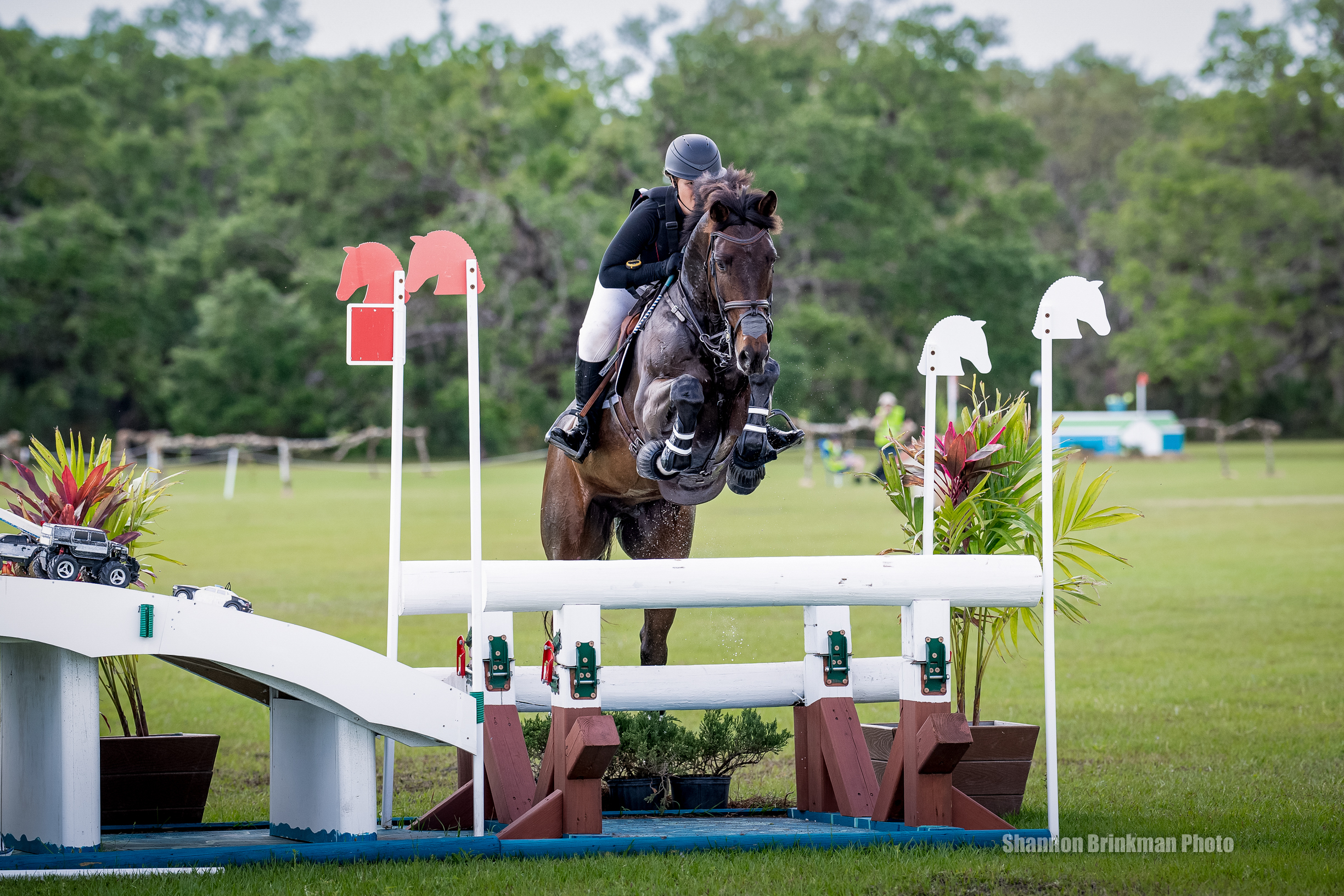 Photo taken by Shannon Brinkman of Autumn Schweiss during an English Eventing Event